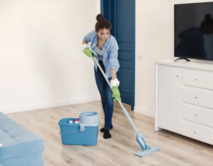 Femme de ménage Dingy-Saint-Clair